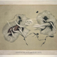 Illustration for article titled 19th Century astronomy illustrations are pre-photographic space porn